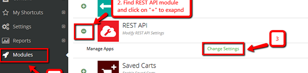 How can I enable Advanced API?