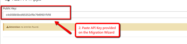 How can I enable Advanced API?