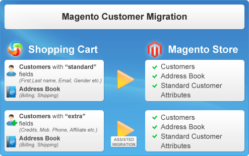 Magento Customer Migration