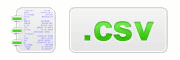 CSV File