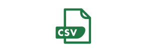 CSV File