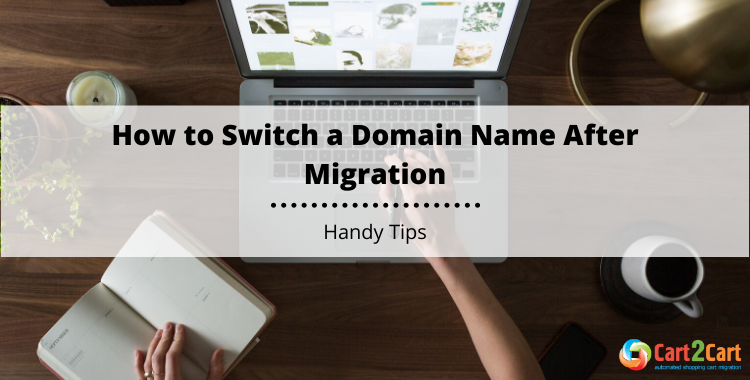 domain name switch