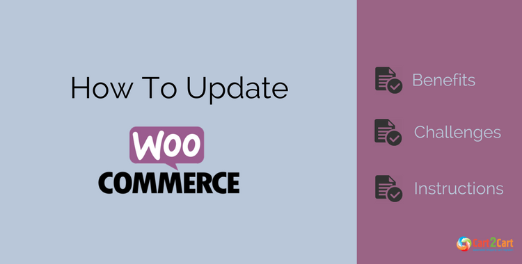 How To Update WooCommerce