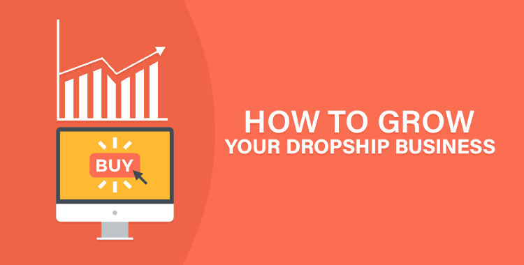 dropship business