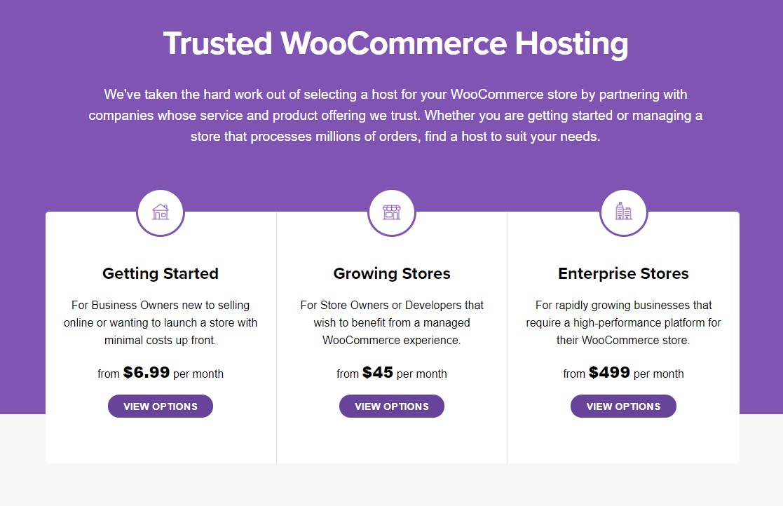 WooCommerce Pricing: How Much Does It Cost to Run a Store?