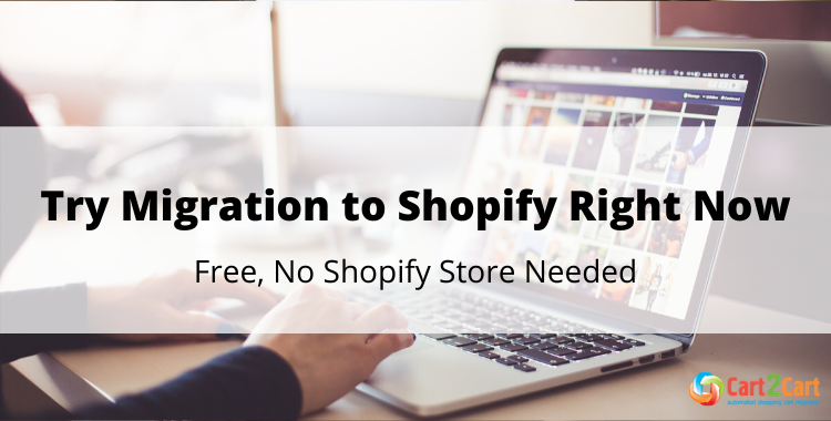 shopify migration preview