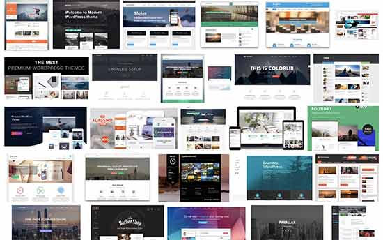 wordpress-themes