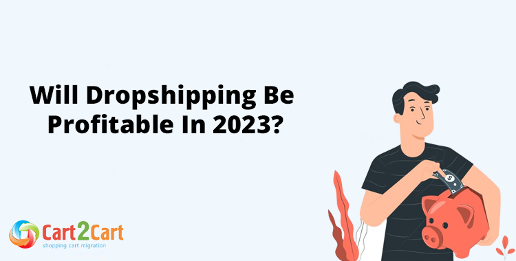 Will Dropshipping Be Profitable