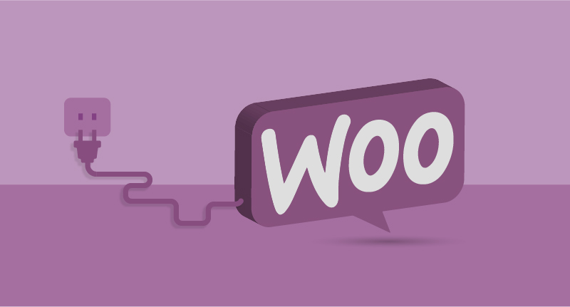 WooCommerce-        extensions-you-must-try-100