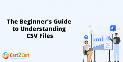 The Beginner's Guide to Understanding CSV Files Cart2Cart™