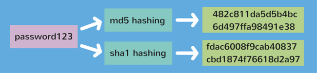 Customer Password Migration