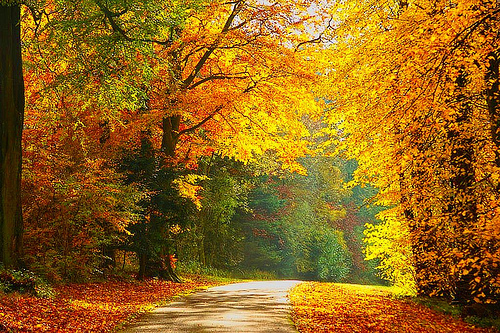 October Quotes Digest: Work with Inspiration October Quotes Digest: Work with Inspiration