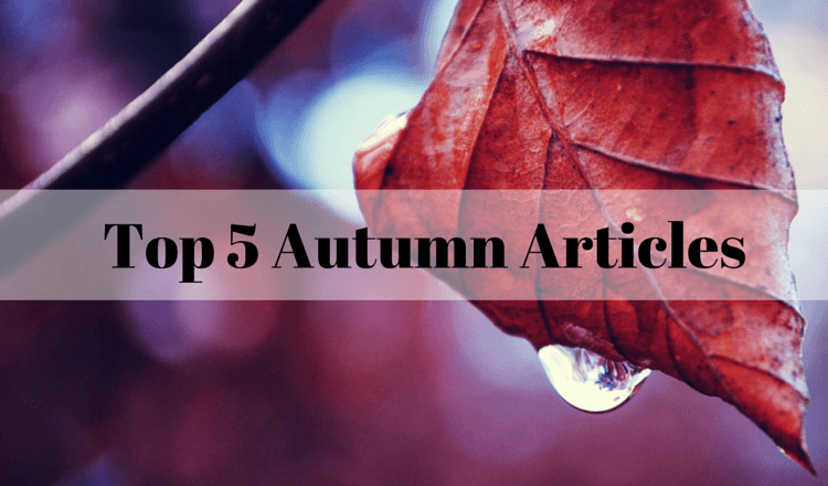A List of 5 Most Catchy Autumn Articles A List of 5 Most Catchy Autumn Articles