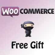 10 WooCommerce Plugins to Reveal a Secret of Success 