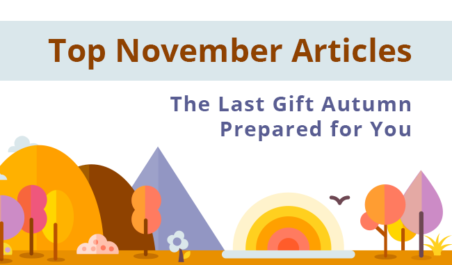 Top November Articles - The Last Gift Autumn Prepared for You Top November Articles - The Last Gift Autumn Prepared for You