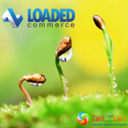 Loaded 7 E-Commerce Solution. Core Virtues and Benefits Loaded 7 E-Commerce Solution. Core Virtues and Benefits