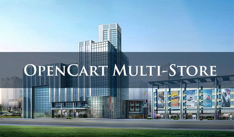 OpenCart Multi-Store: an Option to Extend the Pool of Possibilities OpenCart Multi-Store: an Option to Extend the Pool of Possibilities