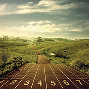 E-Commerce Race. Which solution is a frontrunner? - Survey E-Commerce Race. Which solution is a frontrunner? - Survey
