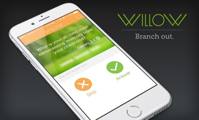 Socialize Profitably! 10 Social Networks for Store Owners willow social network for store owners