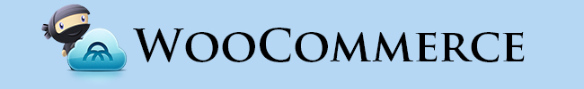 WooCommerce ProStores Alternatives: Get Your Own Way