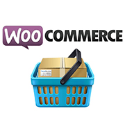 Jigoshop vs WooCommerce: Is WordPress the Only Common Feature